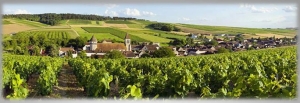immagine-fortair-borgogna