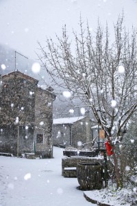 Neve - foto Daniele Geronazzo